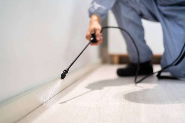 Licensed Pest Control service in Colfax, WI - Show Me Pest Control